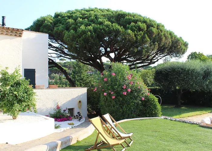 Maxime * Сент-Максім